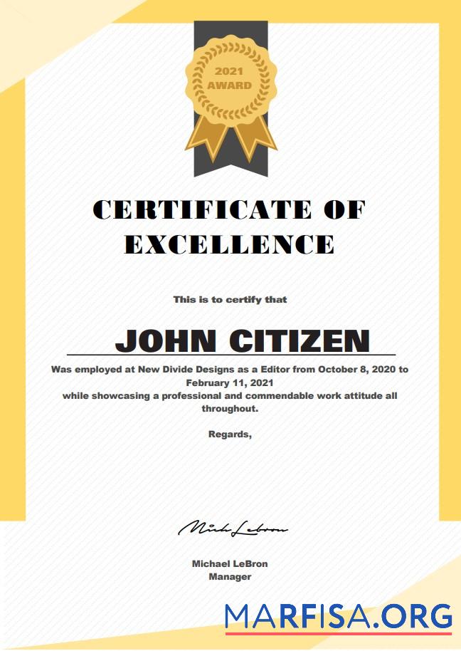 Downloadable USA Excellence Cert template
